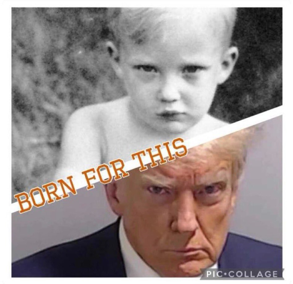 Linda Traitz tweet media