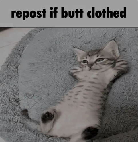 i drink soup tweet media