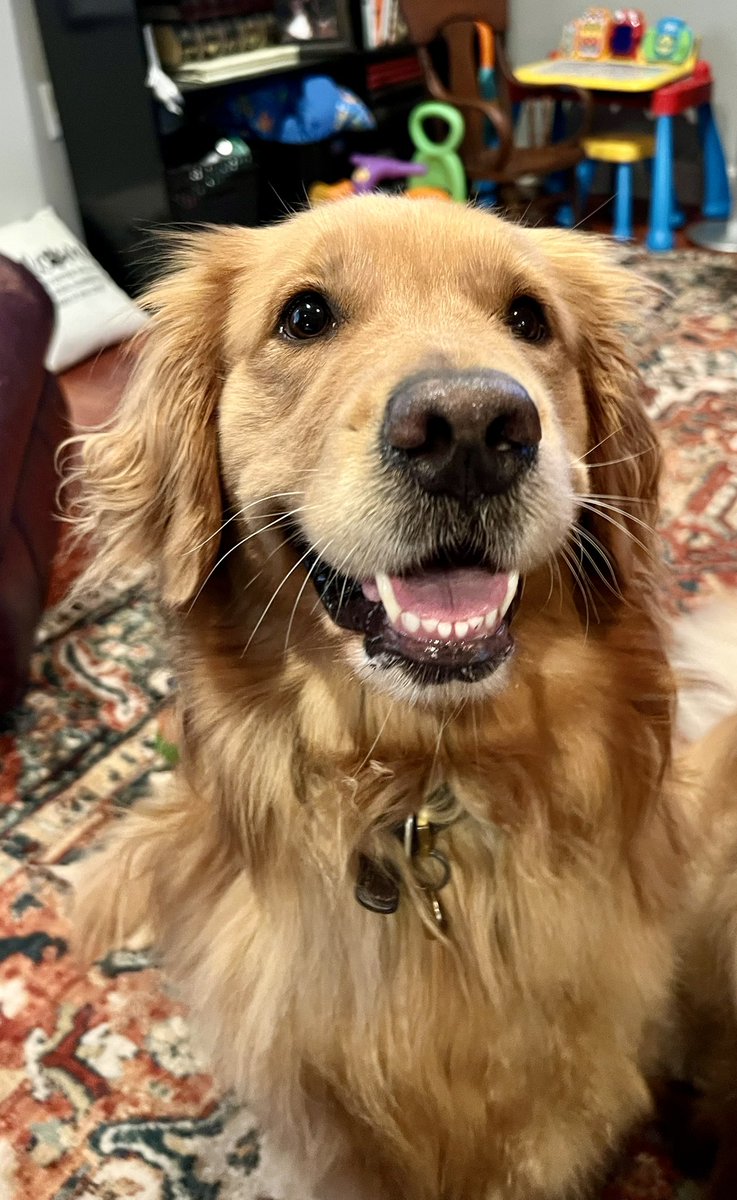 Beth Ann Nichols tweet media