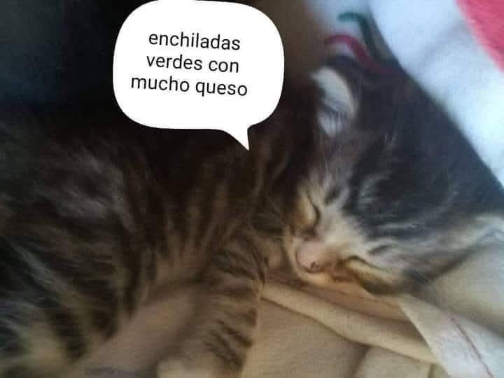 Birriaaaa tweet media