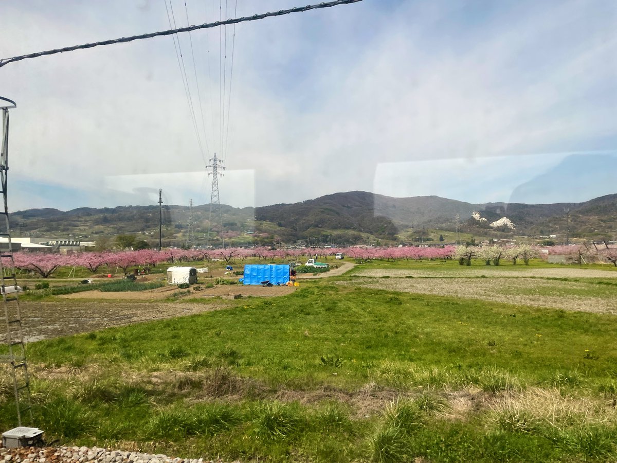 かいなま tweet media