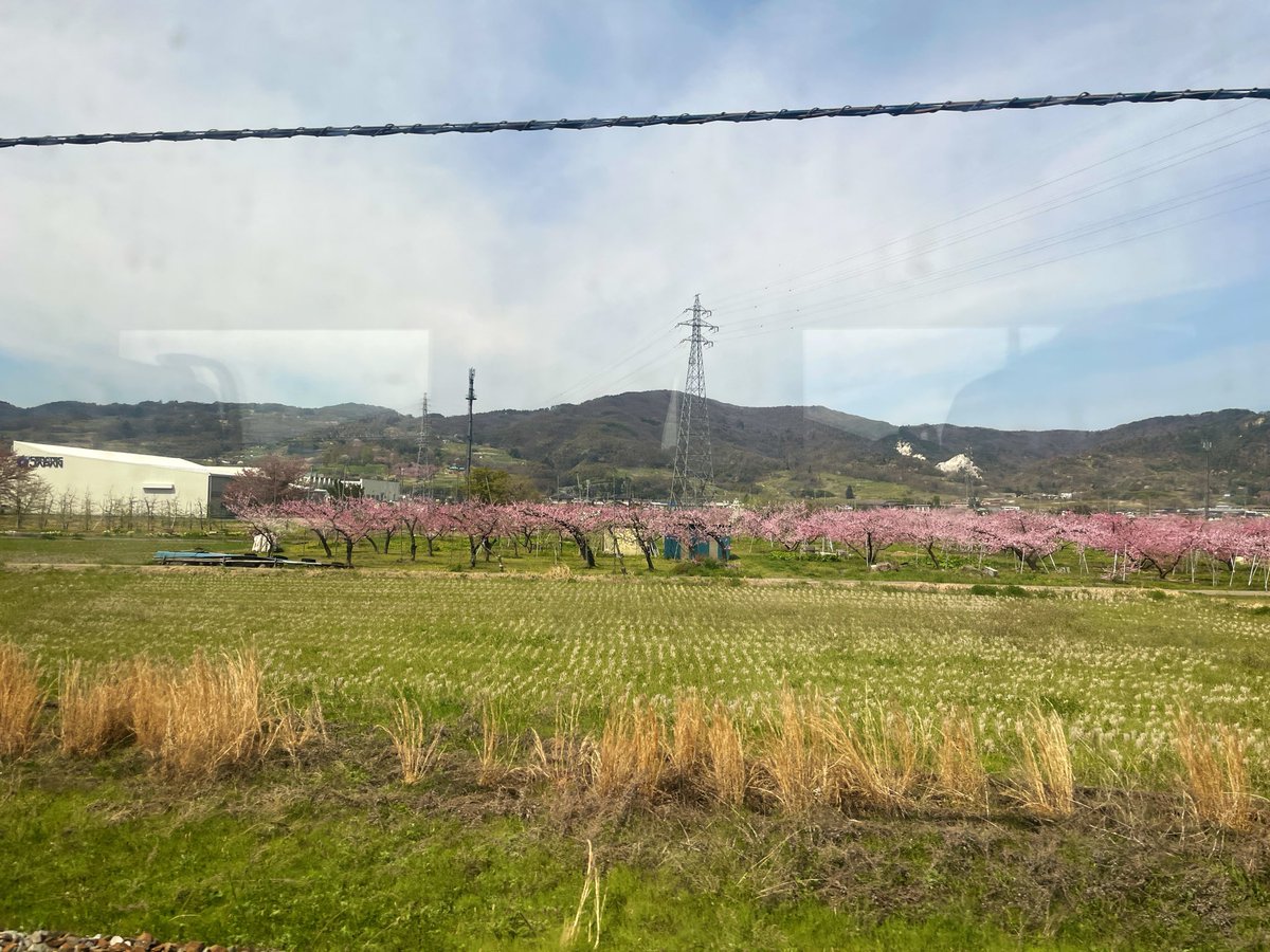 かいなま tweet media