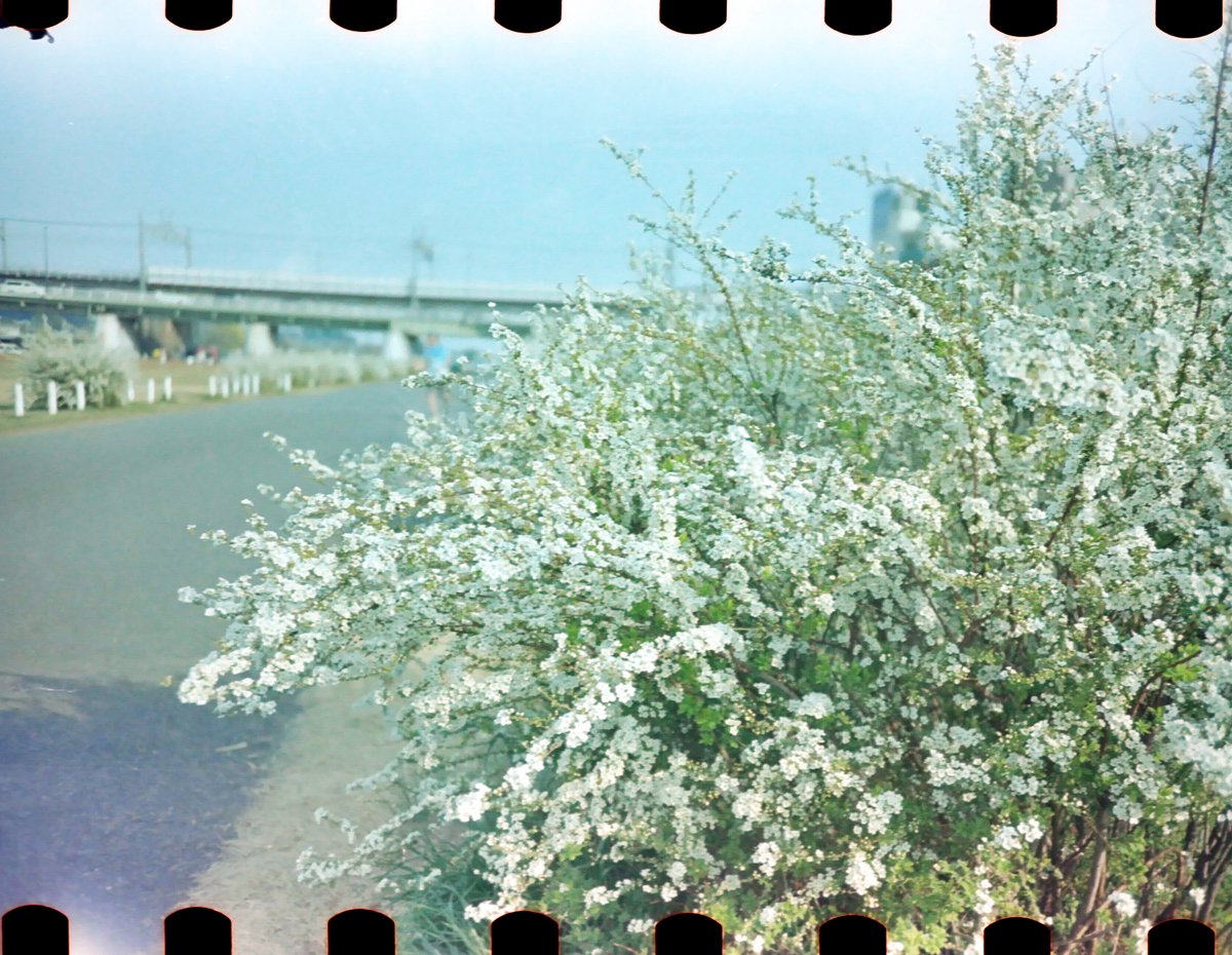k_photo_tokyo's tweet photo. kodak #vision3 | LC-A https://t.co/dgycH99GGc