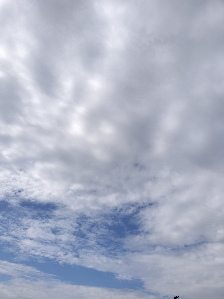 とくちゃん🎻走るバイオリニスト tweet media