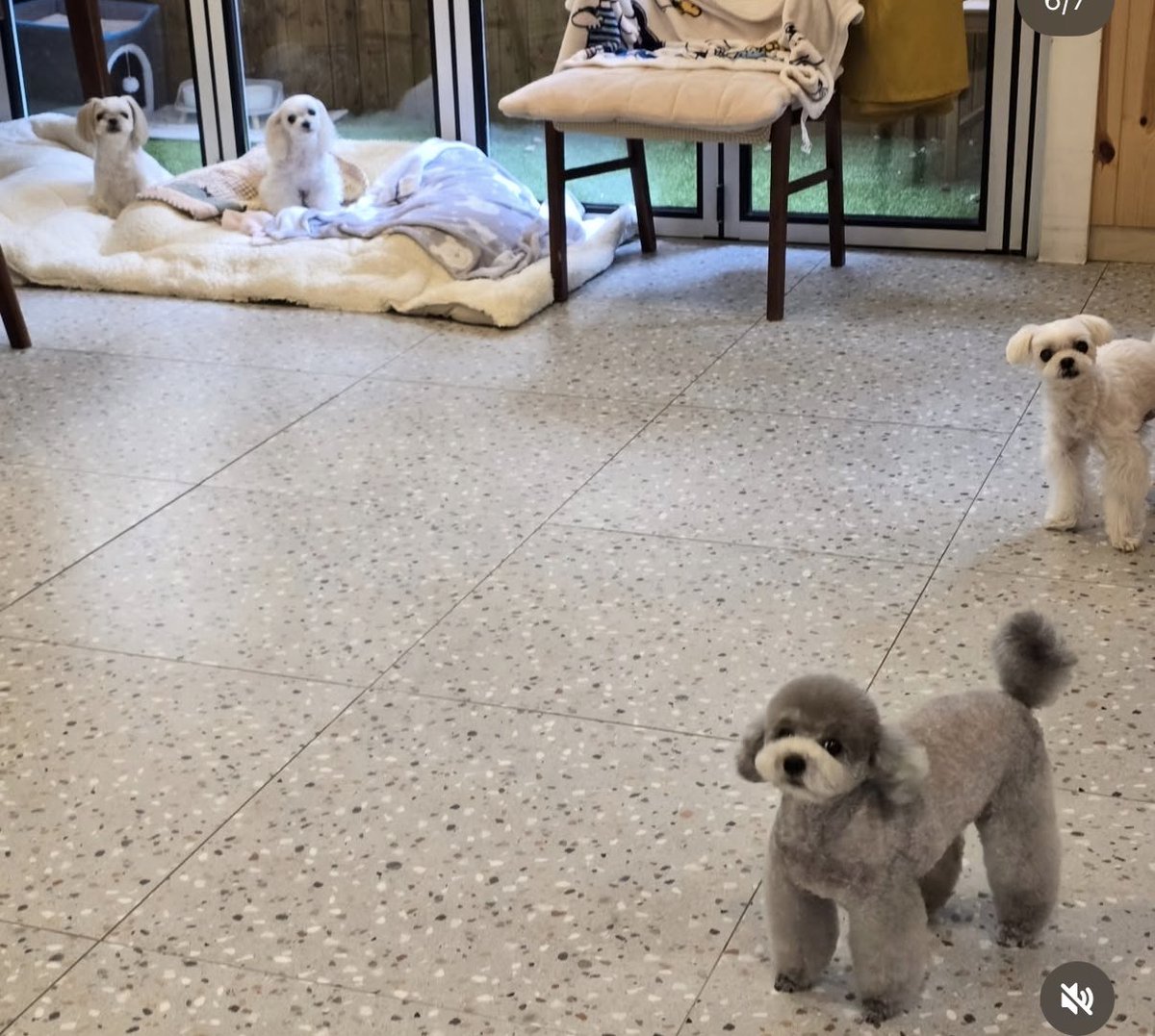 𝙼𝚊𝚎 tweet media