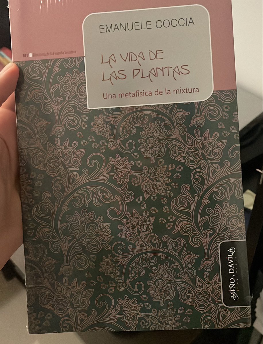 hada religona imaginactora tweet media