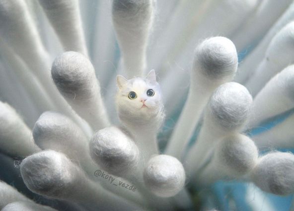 ‏×÷+-@ tweet media