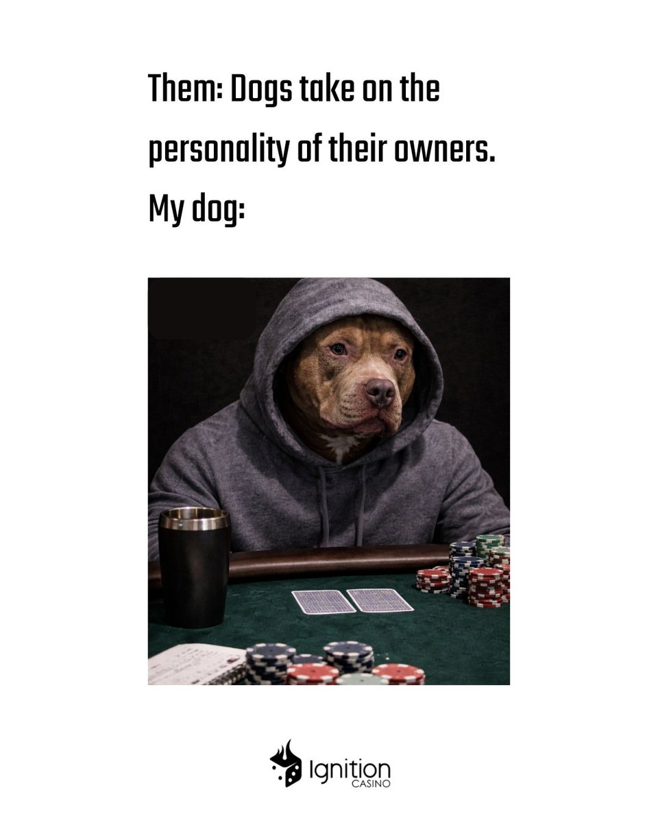 IgnitionCasino's tweet image. Bro's just like me 🤫 #meme #poker #pokermeme