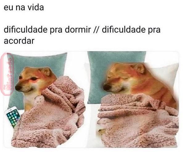 memes extremamente horríveis (ou bons) tweet media
