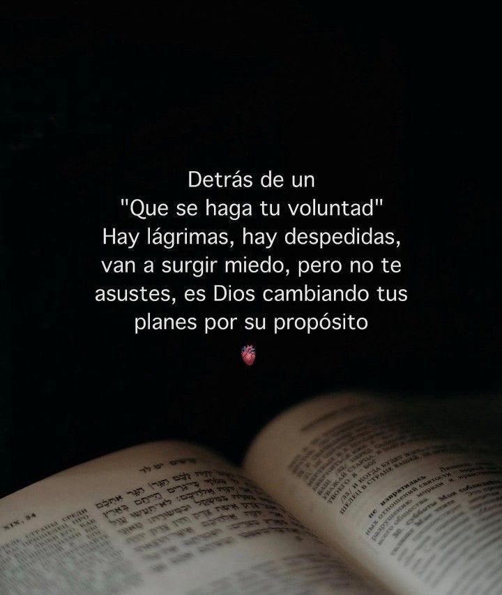 Paulo Coelho Español (@paulocoelhodice) on Twitter photo 