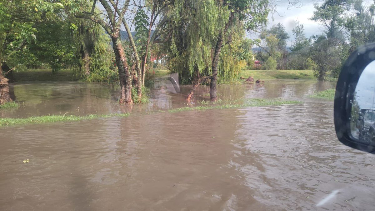 Marce Portilla ♥️ tweet media