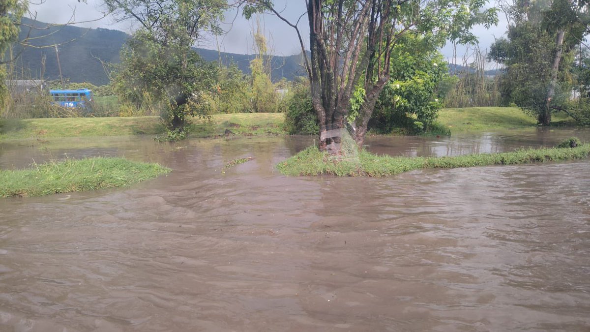 Marce Portilla ♥️ tweet media