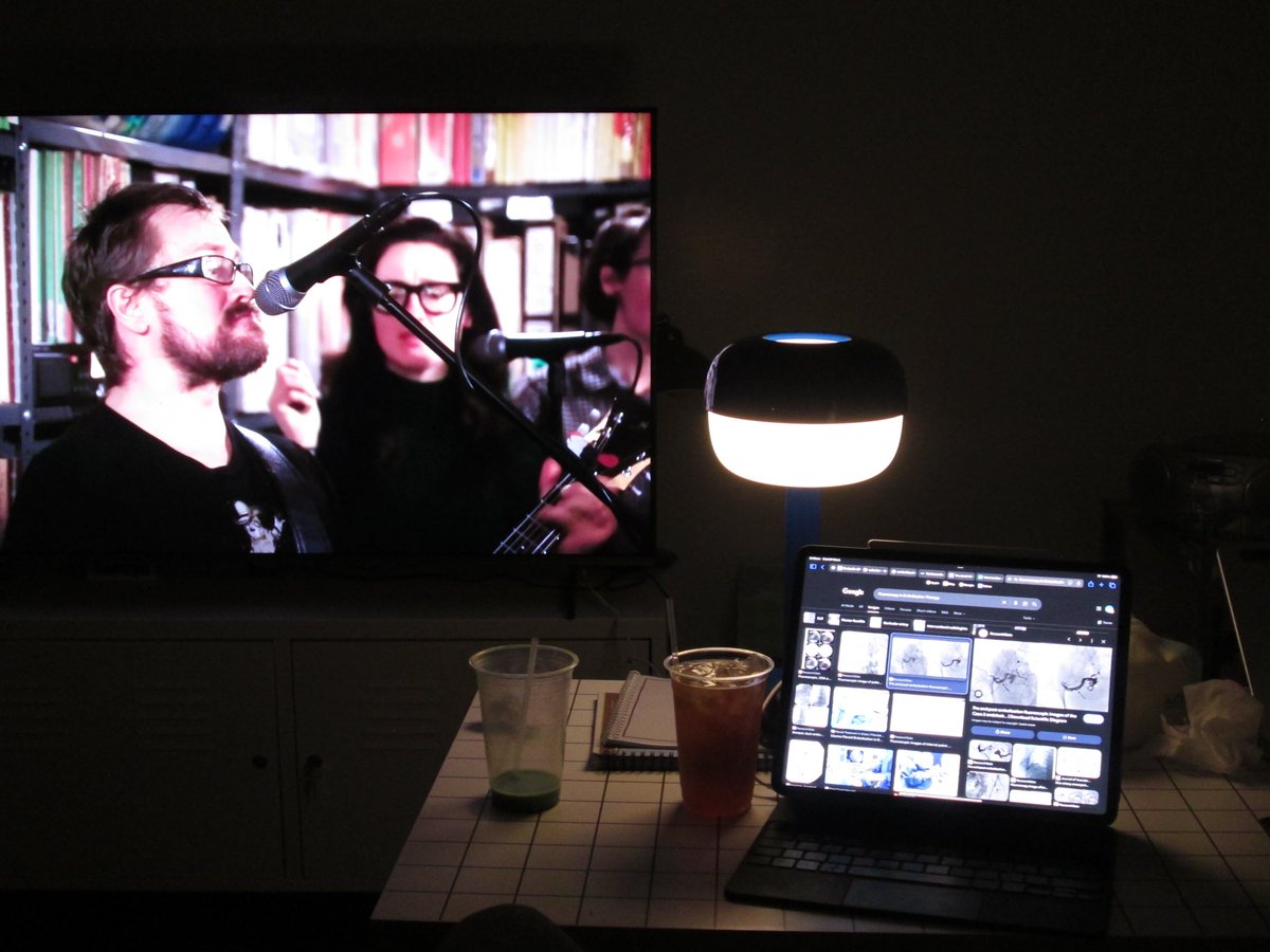 todayisafillerepisode tweet media