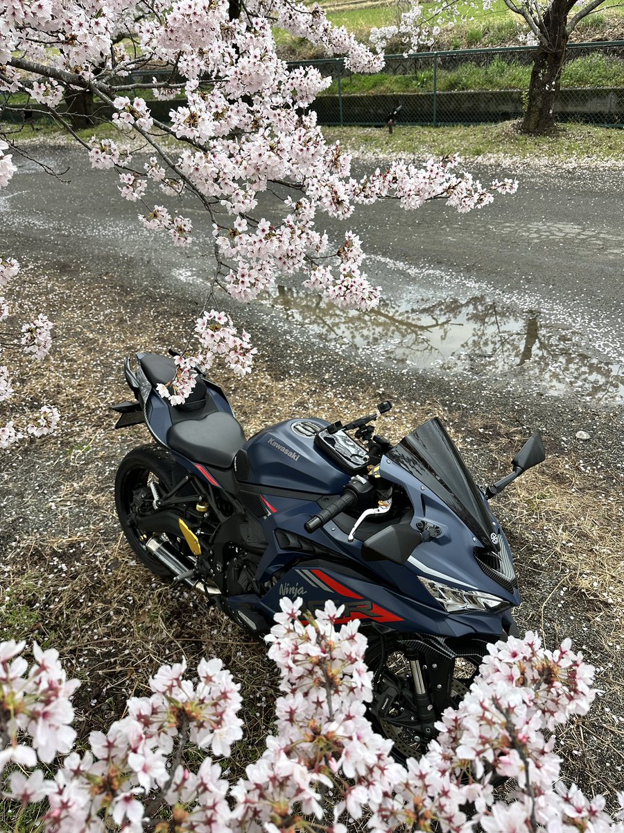 バルト tweet media