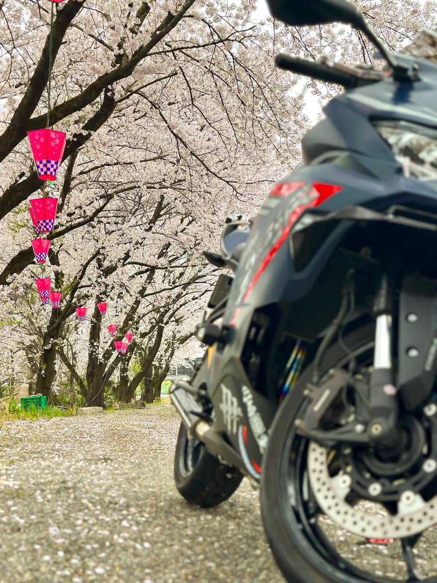 バルト tweet media