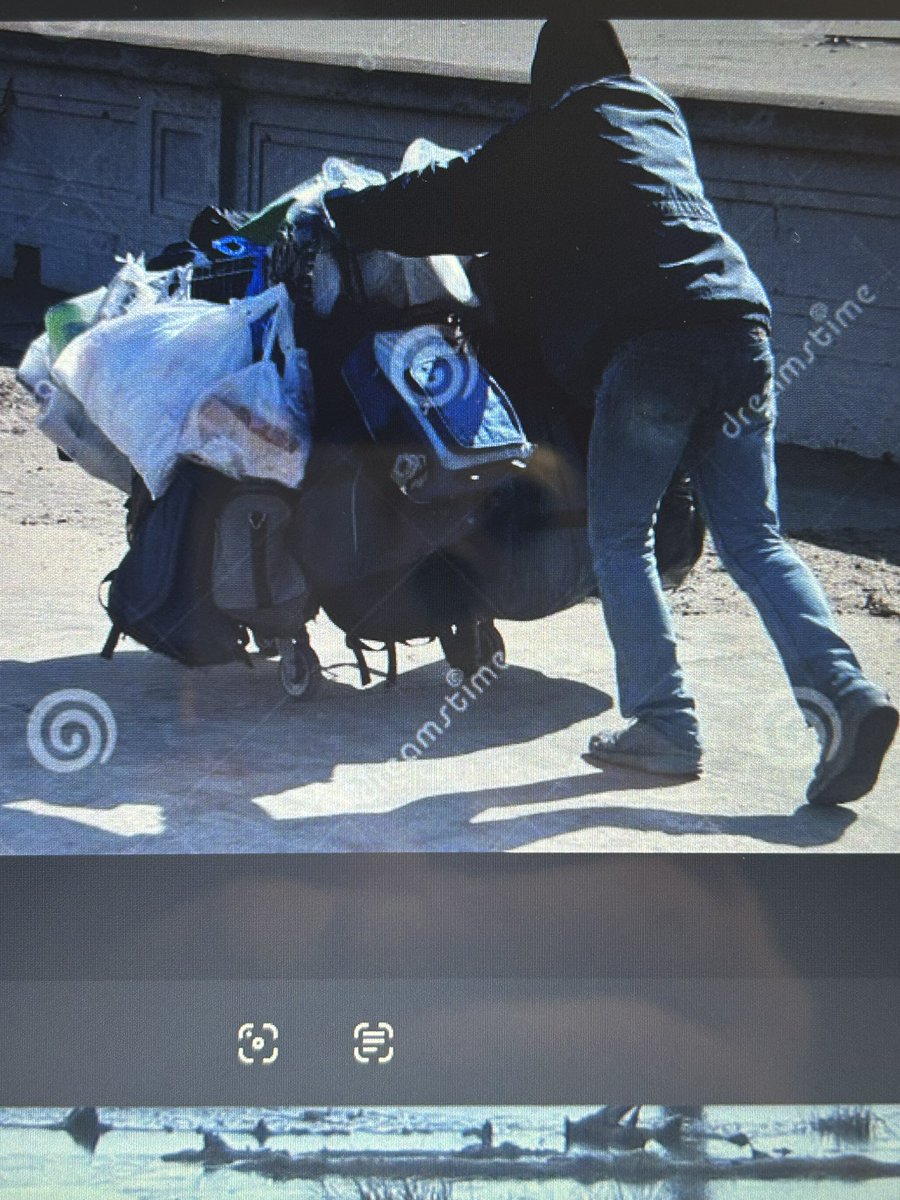 Lorne Green tweet media