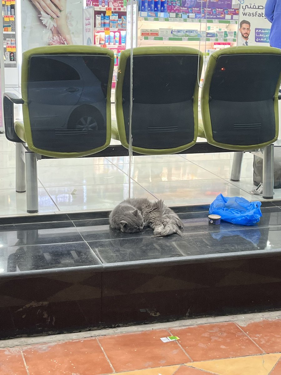 Engmanalrescuer tweet media