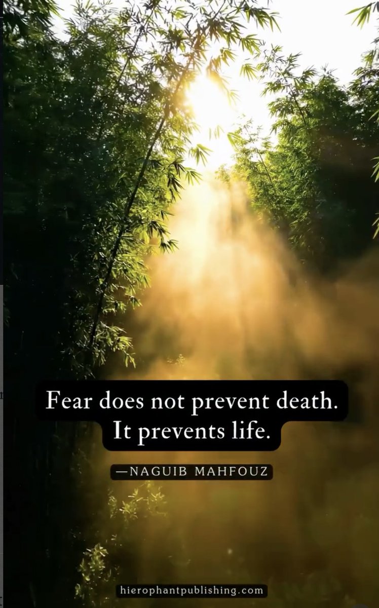 This is Simple:
🫵 Fear does not prevent death.  🫵 It prevents life.
– Naguib Manfouz.
#FearPreventsLife #FearPreventsLife #FearPreventsLife