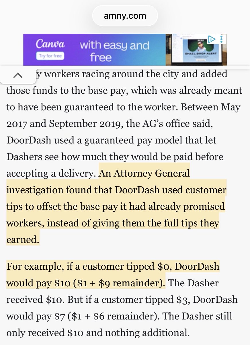 Proper Pirate 🐢🦀 tweet media