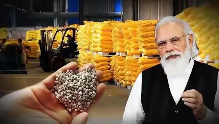 hello world tweet media