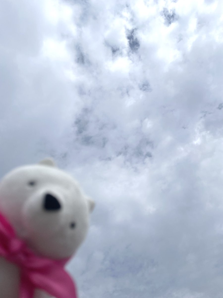 おはようございます！

今日はなぜかドリムーにピントが合わず…
眩しかったので諦めました🙄

週の真ん中、がんばりましょうね〜✨

本日もよろしくお願いします🙇‍♀️

#ドリムー
#企業公式ぬい撮り部