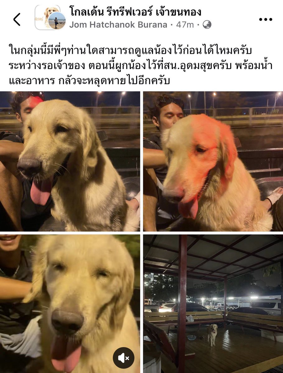 หมาใครหลุดแถวอุดมสุขไหมคะ