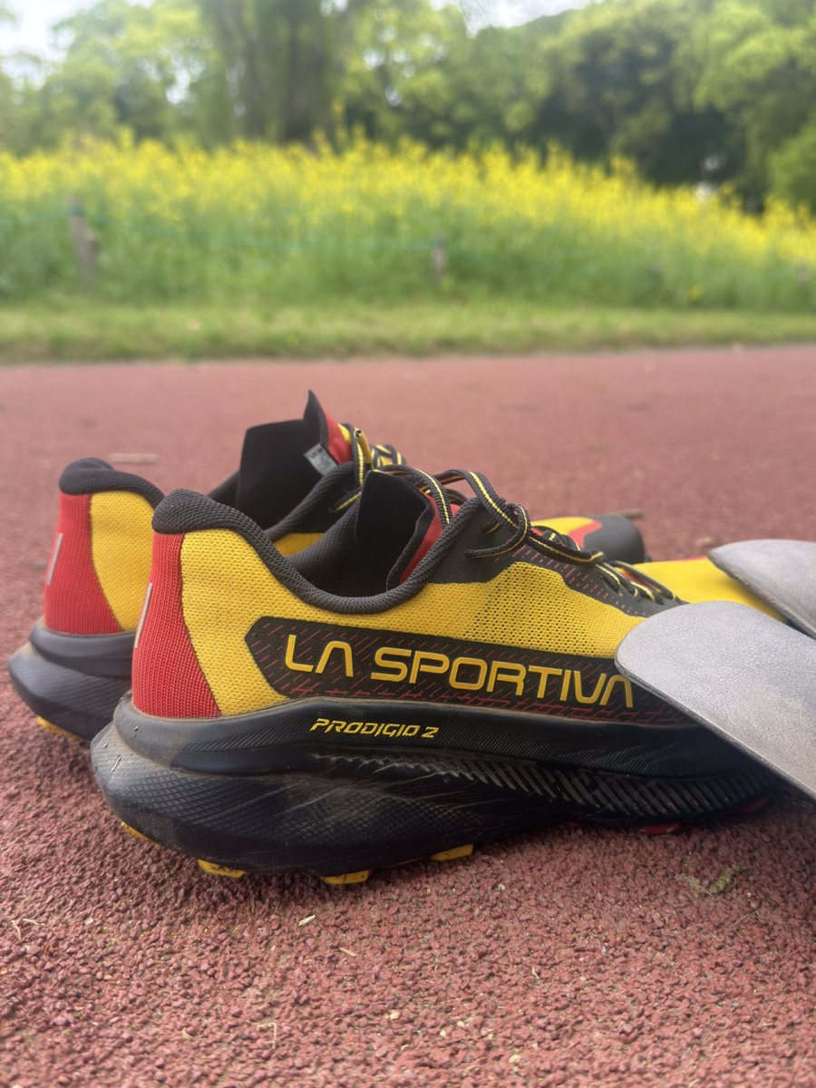 自由人 | Trailrunning x 企業投資 x 経営者の交差点で生きる tweet media