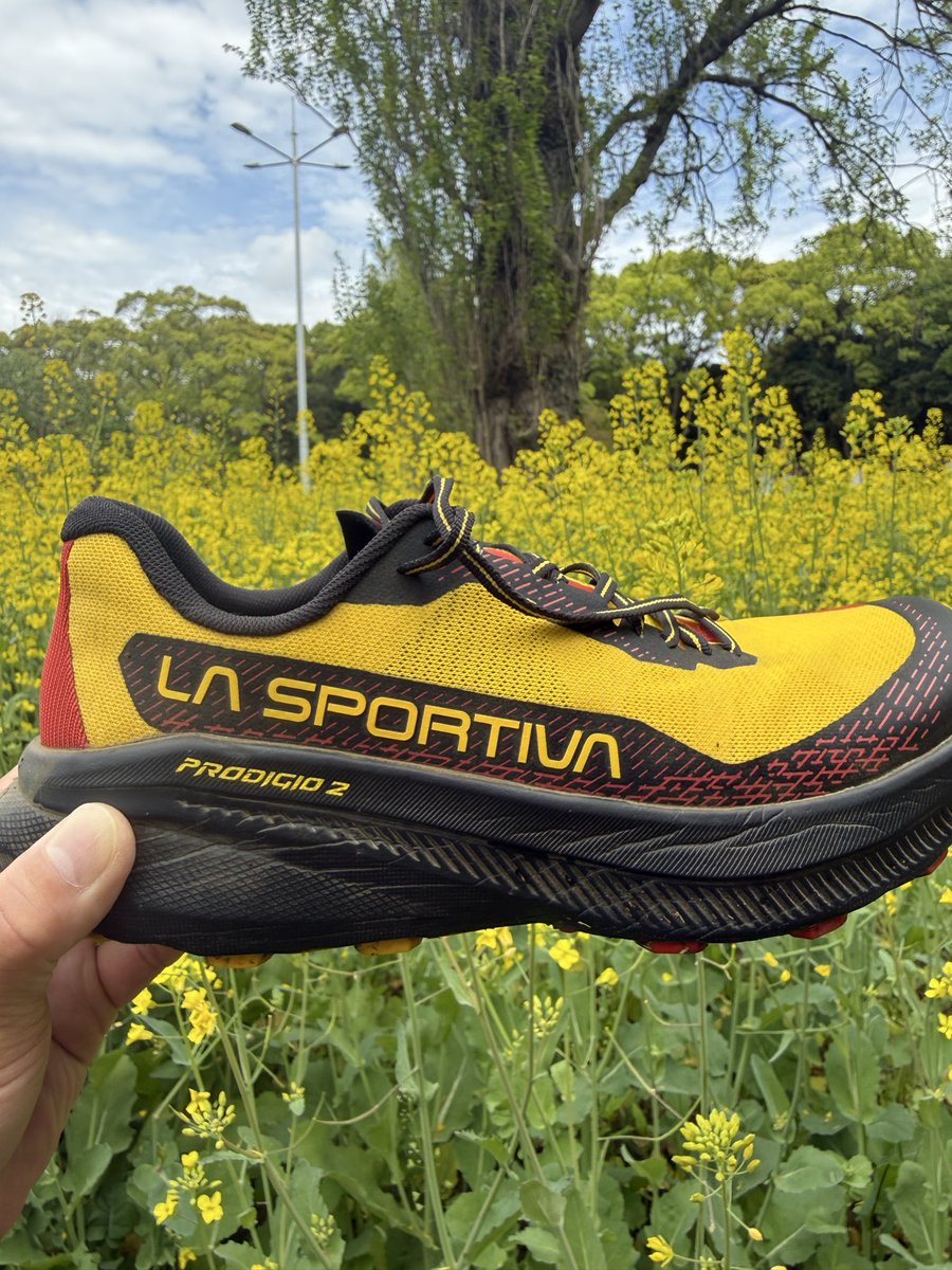 自由人 | Trailrunning x 企業投資 x 経営者の交差点で生きる tweet media