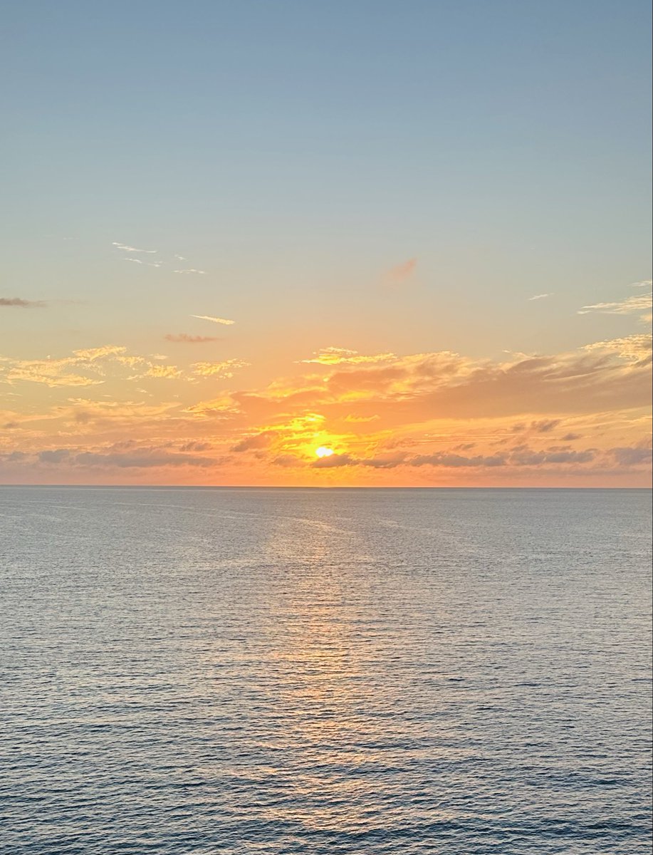 Rita Shires tweet media