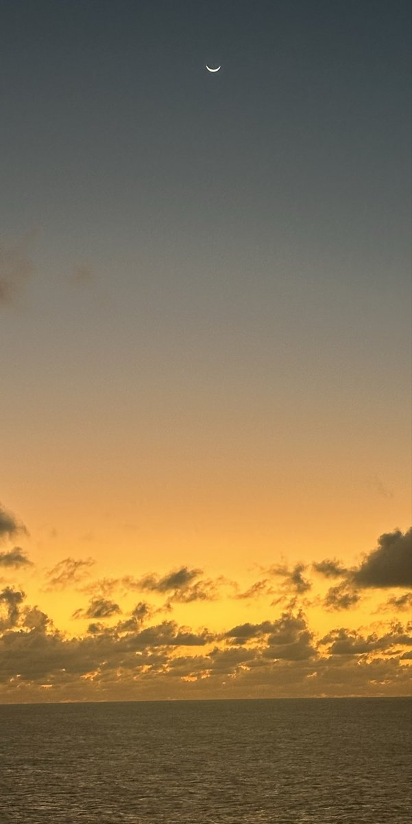 Rita Shires tweet media