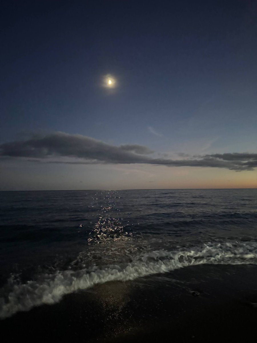 Lysandro. tweet media