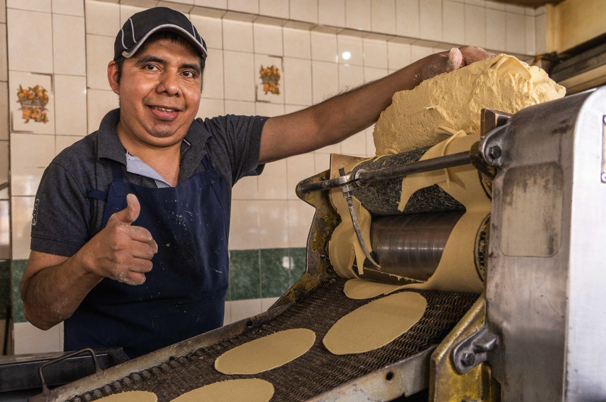 Julio Berdegué tweet media