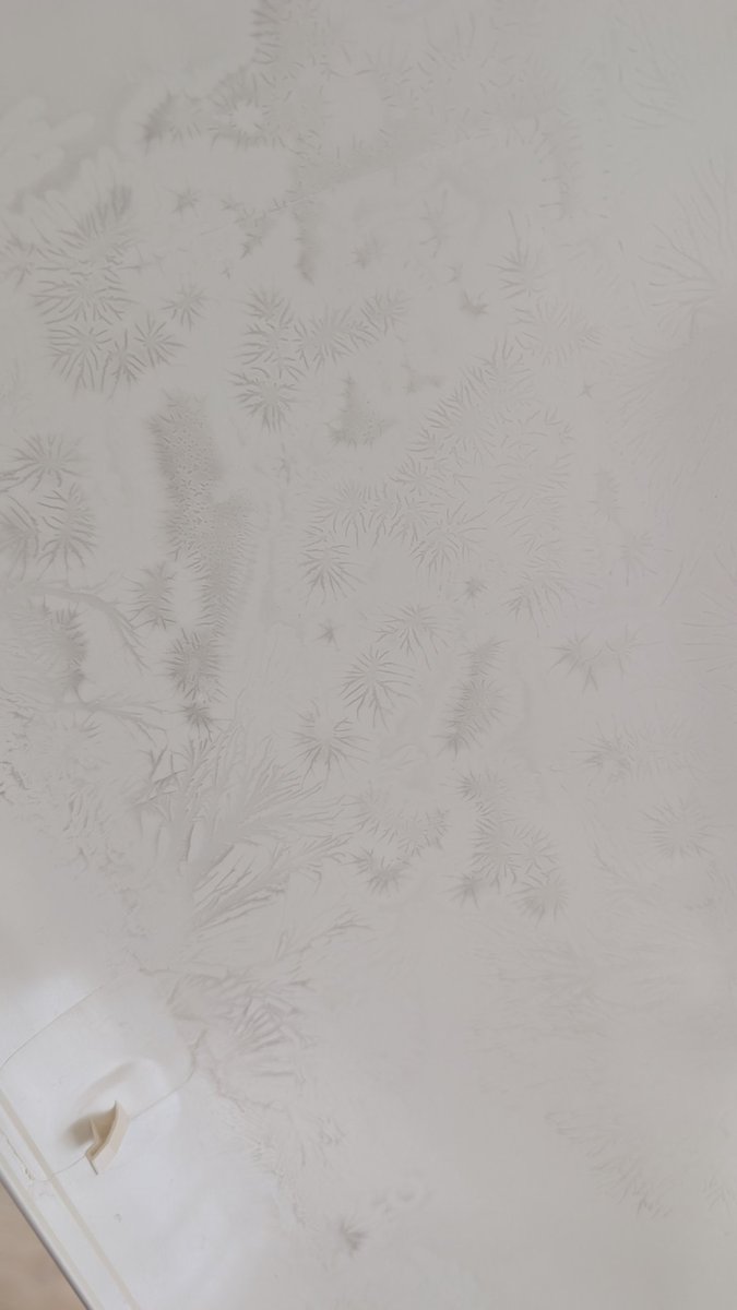 プロのおそうじ屋さん tweet media