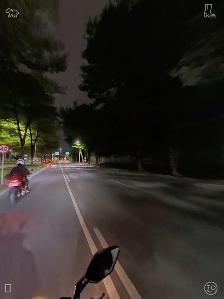 Simmered legumes prepared and available