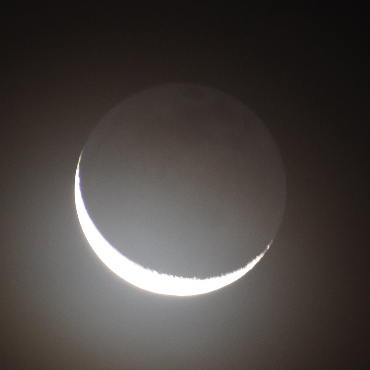 Marwella Zhang ๐๐จ ๐ธ ๐ tweet media