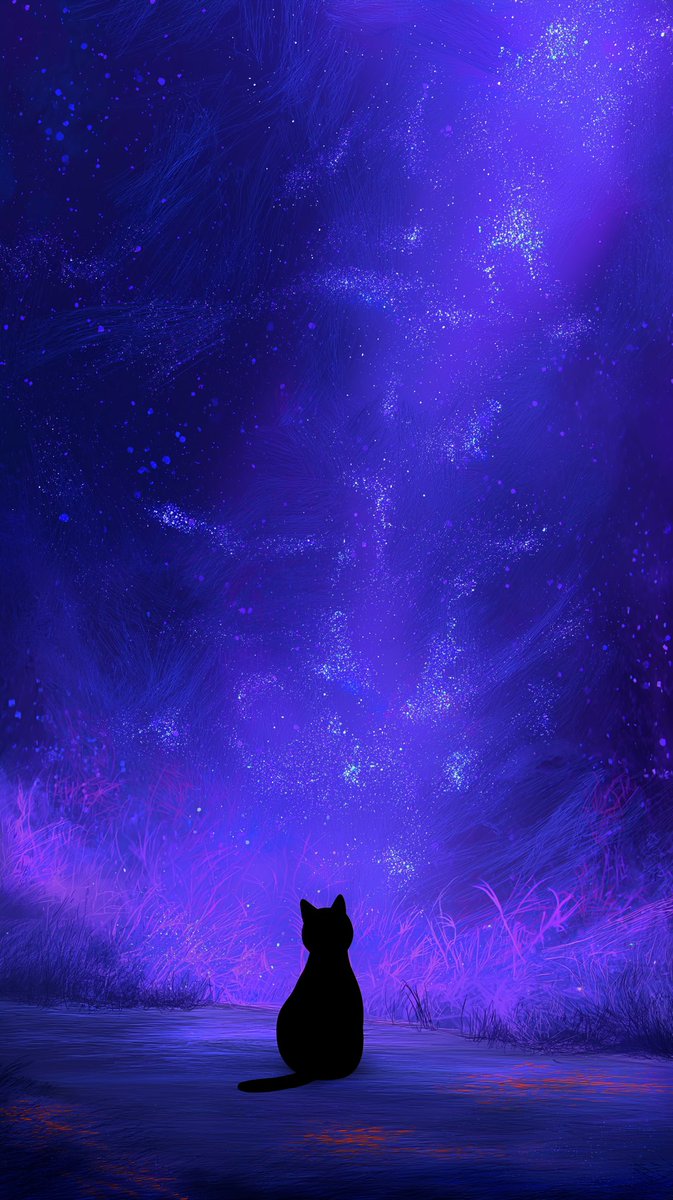 Imaginary Cat🐾 (@imaginary__cat) on Twitter photo 