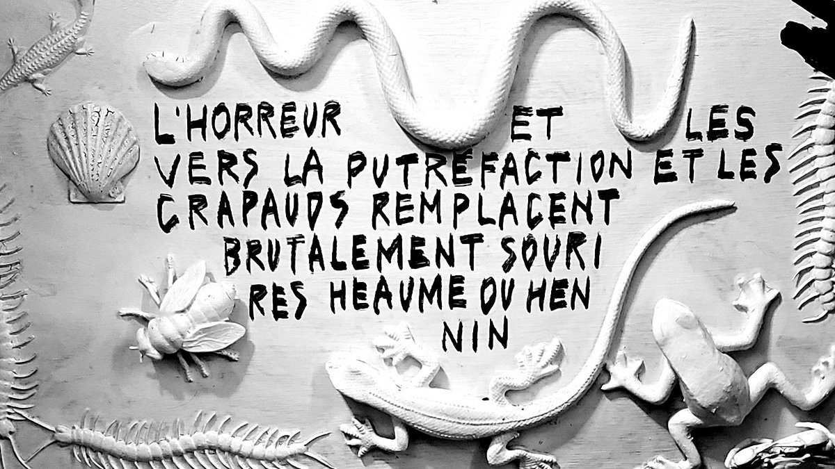 kuromi_neko_'s tweet image. Please, weep a little for me.

All glory and splendor—
they look like darkness now.
Like the eyes of beetles.

#darkpoetry #weirdart