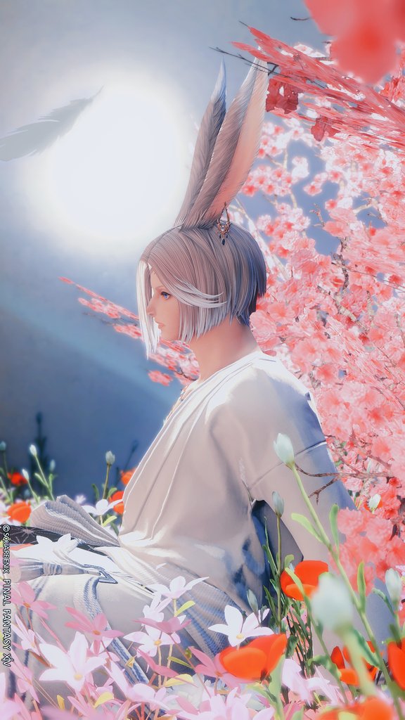 Choco@Bahamut tweet media