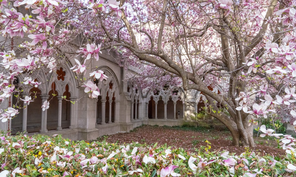 Trinity College tweet media