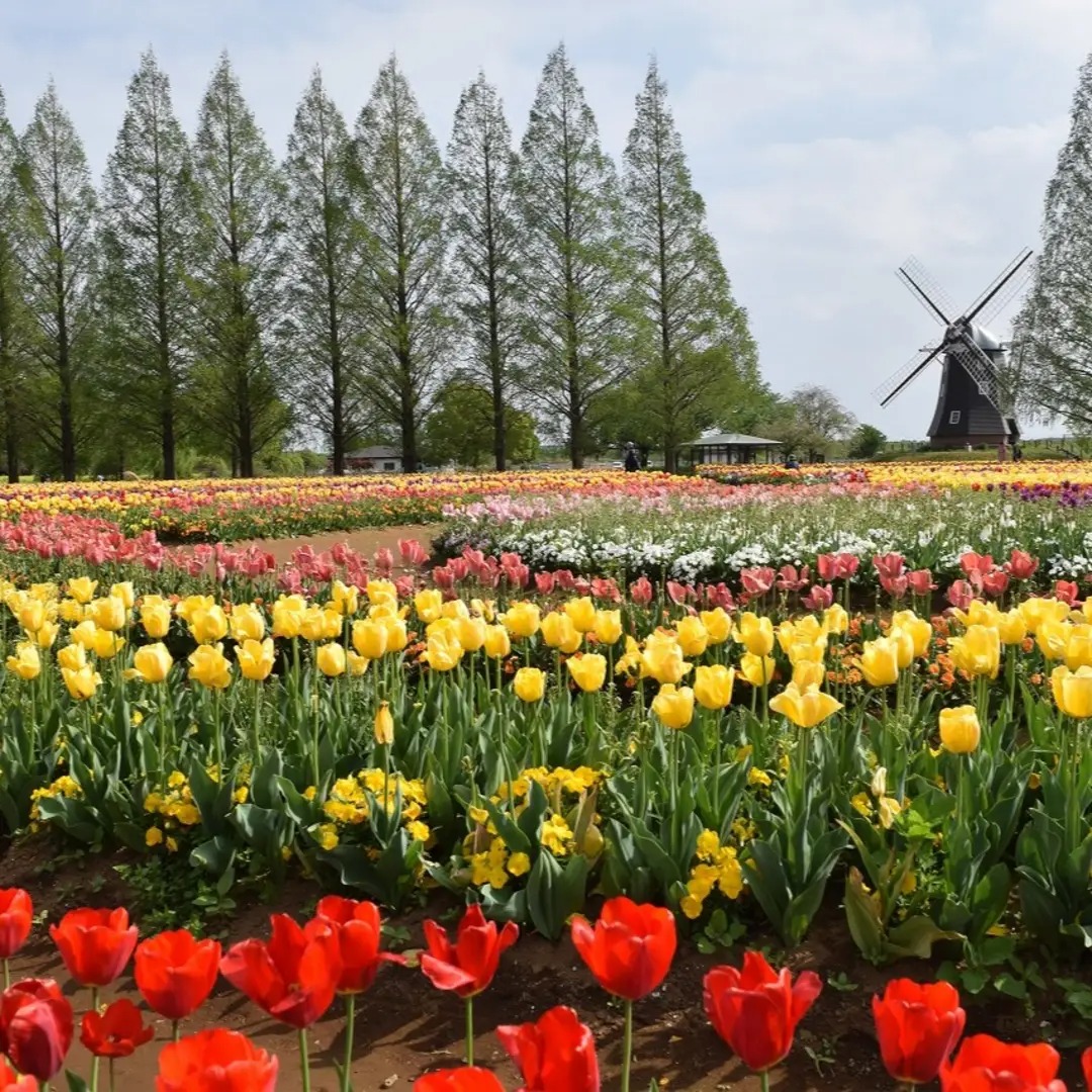 う～さん tweet media