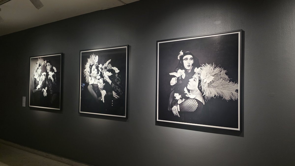 Centro GAM tweet media