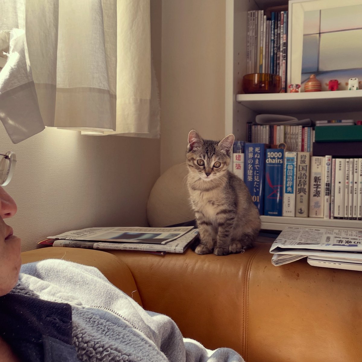 牟田都子 『贈り物の本』発売中 tweet media