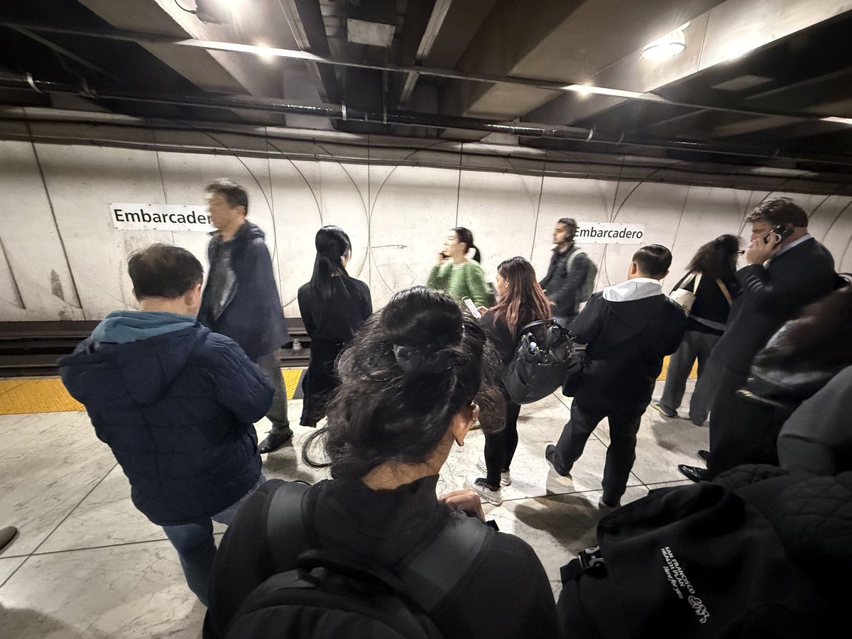 Gianmatteo Costanza tweet media