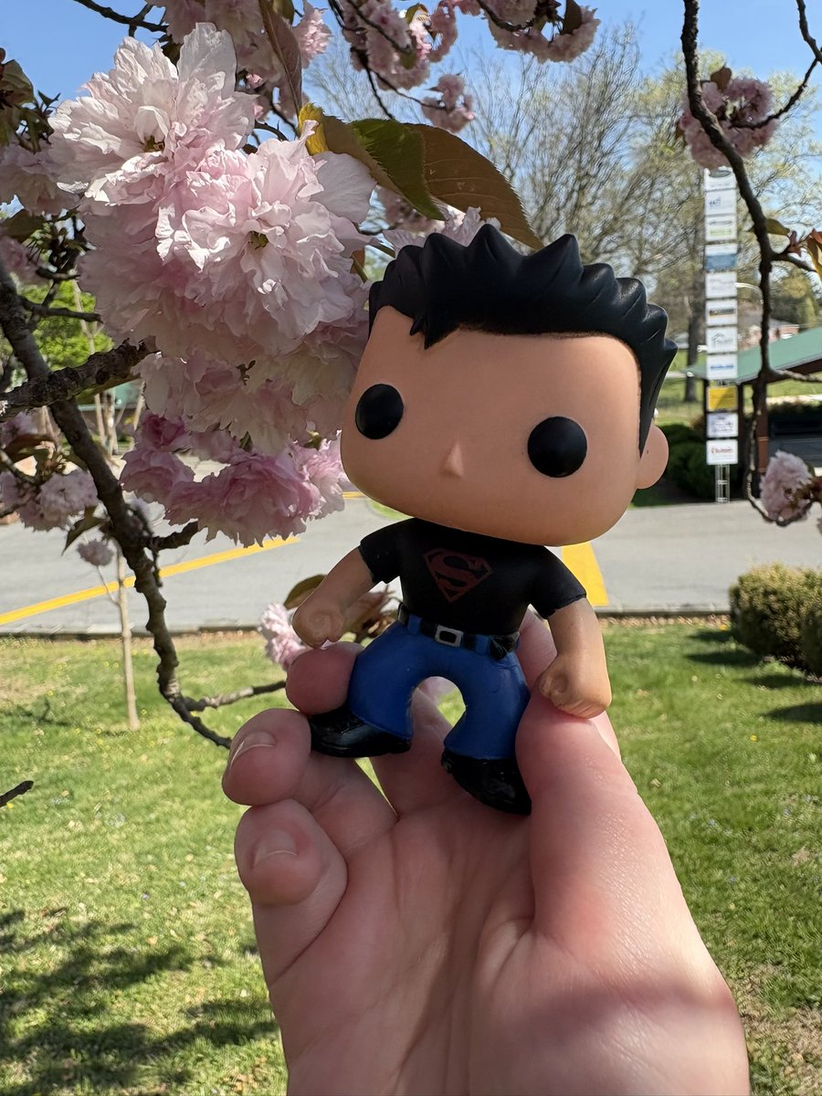 cryingcardinal's tweet image. Pictures I took when I went to the park

#Connerkent #superboy #KonEl