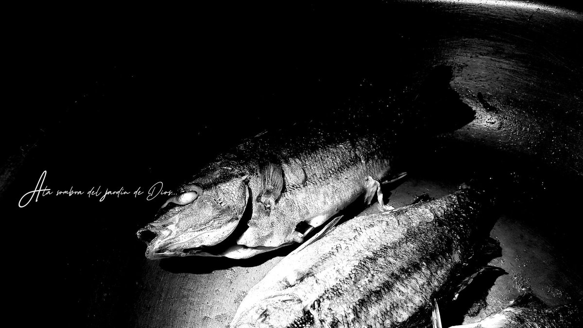 kuromi_neko_'s tweet image. There is a kind of fado
you can only find
by going further down.
And further.

#surrealpoetry #strange