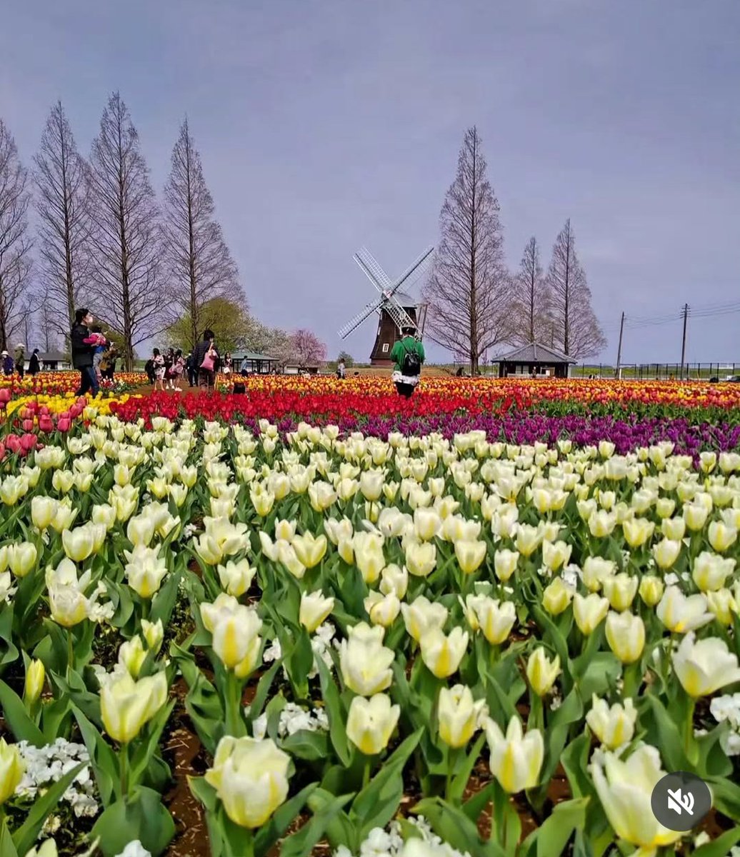 う～さん tweet media