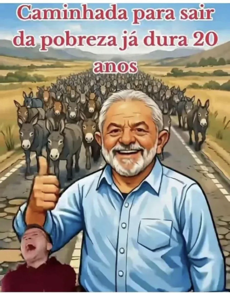 RoseLopes tweet media