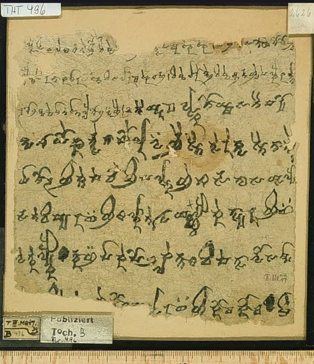 红墓市鳏夫 tweet media