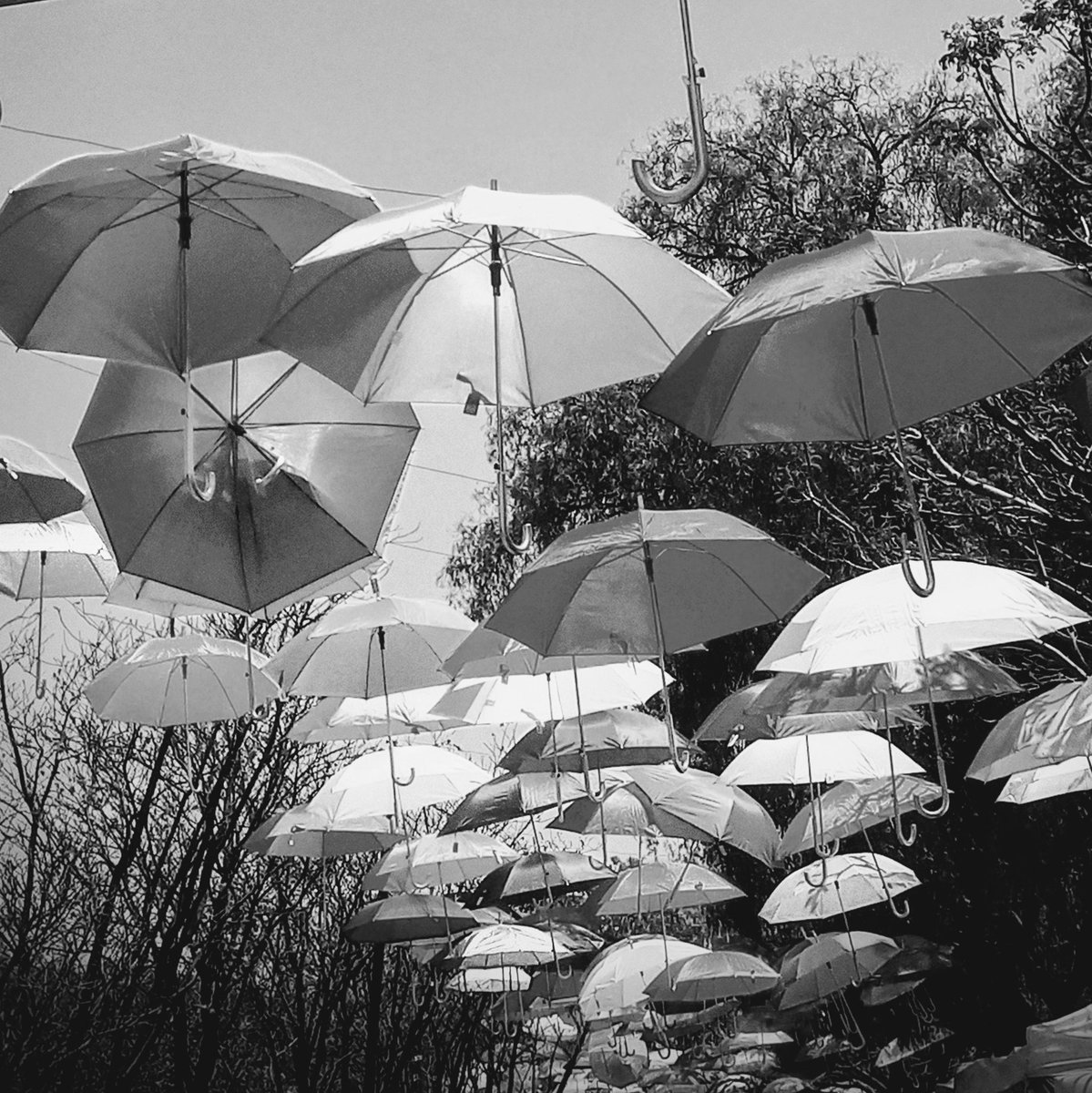 a_issigonis's tweet image. #photo #photoaday #streetphotography

Color or black and white...??