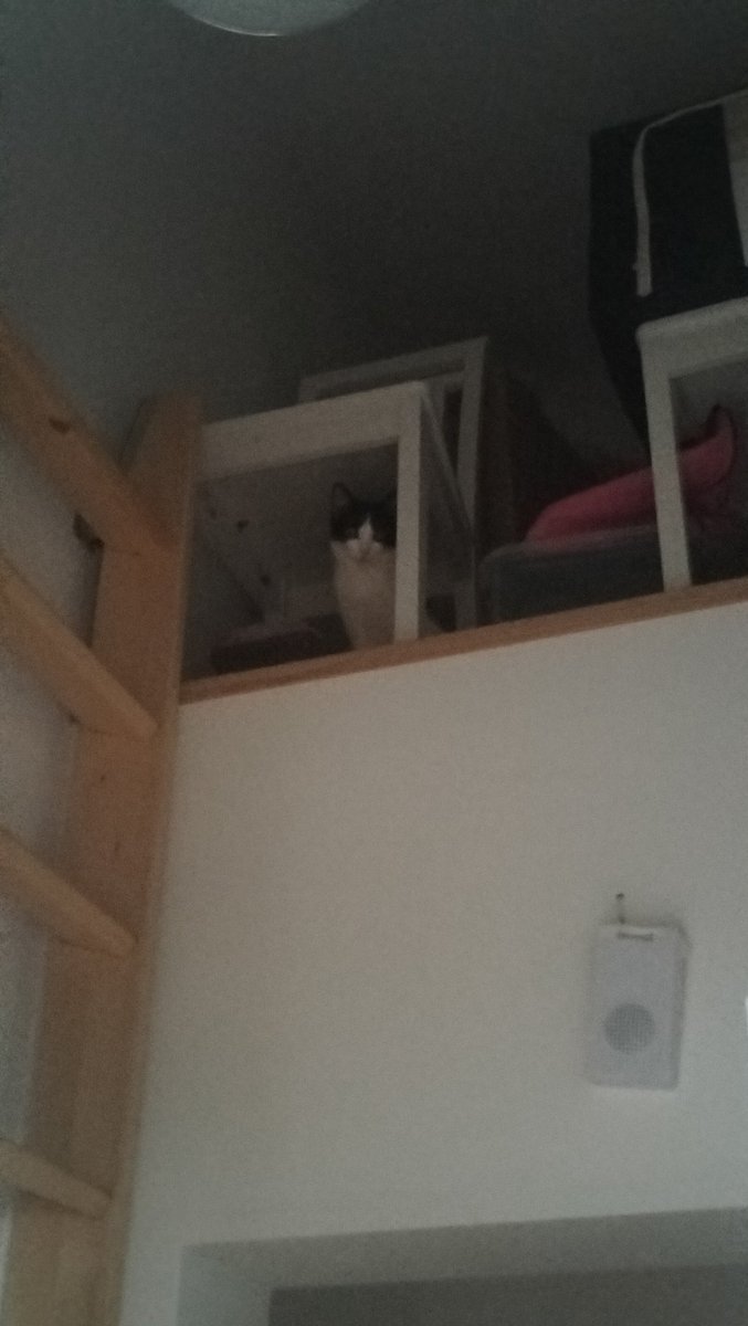 Хэй, Оушен☮️🦄 tweet media